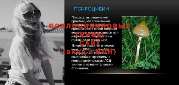 таблы Каменногорск