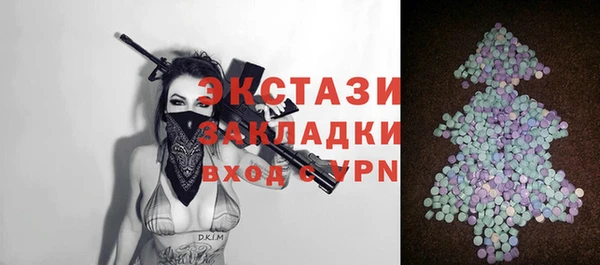 крисы Каменка