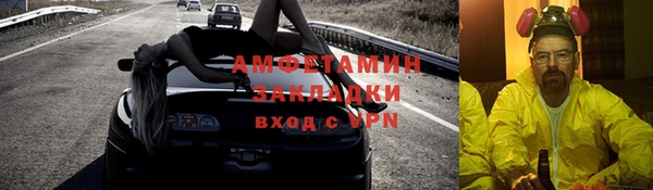крисы Каменка