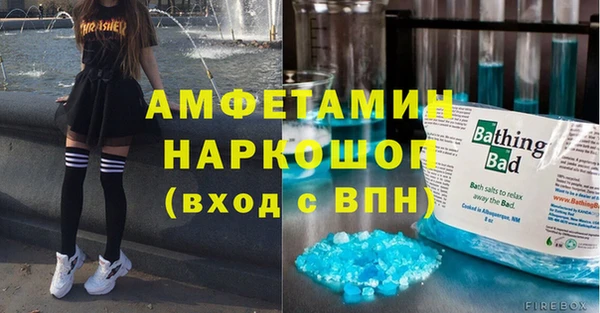крисы Каменка