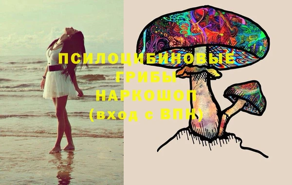 таблы Каменногорск