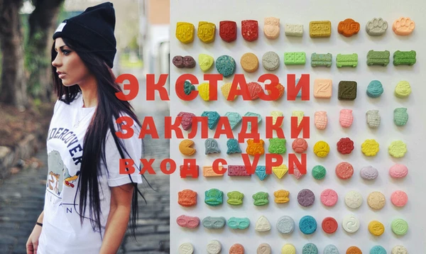 крисы Каменка