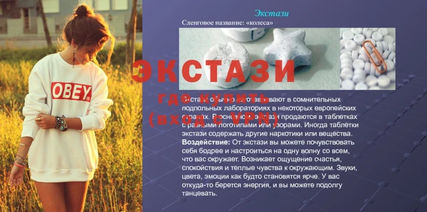 крисы Каменка