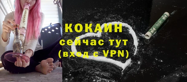 крисы Каменка