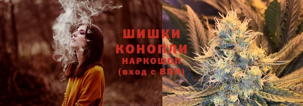 крисы Каменка